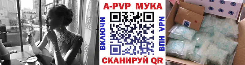 shop как зайти  Каргополь  Alfa_PVP СК КРИС 