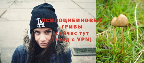 ешки Арсеньев