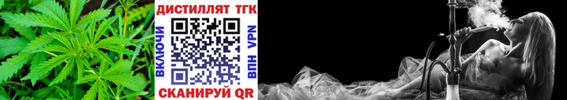 ТГК вейп  Каргополь 