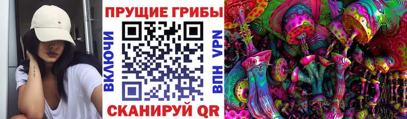 Псилоцибиновые грибы Magic Shrooms дарнет шоп Каргополь